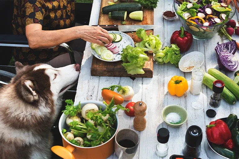 Husky watching its owner prepare fresh vegetables in the kitchen
