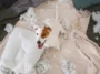 how to stop dog from chewing pillow