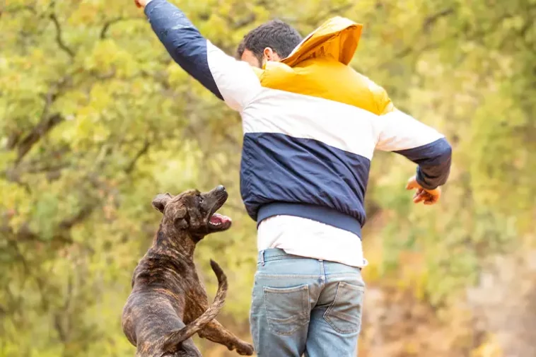 Stop your dog from jumping