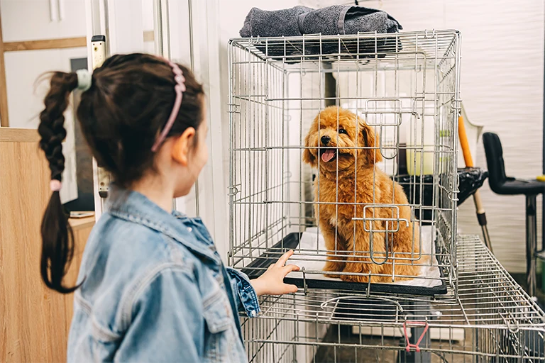 dog crate and a child