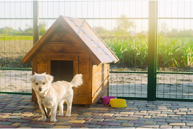 wooden dog crate